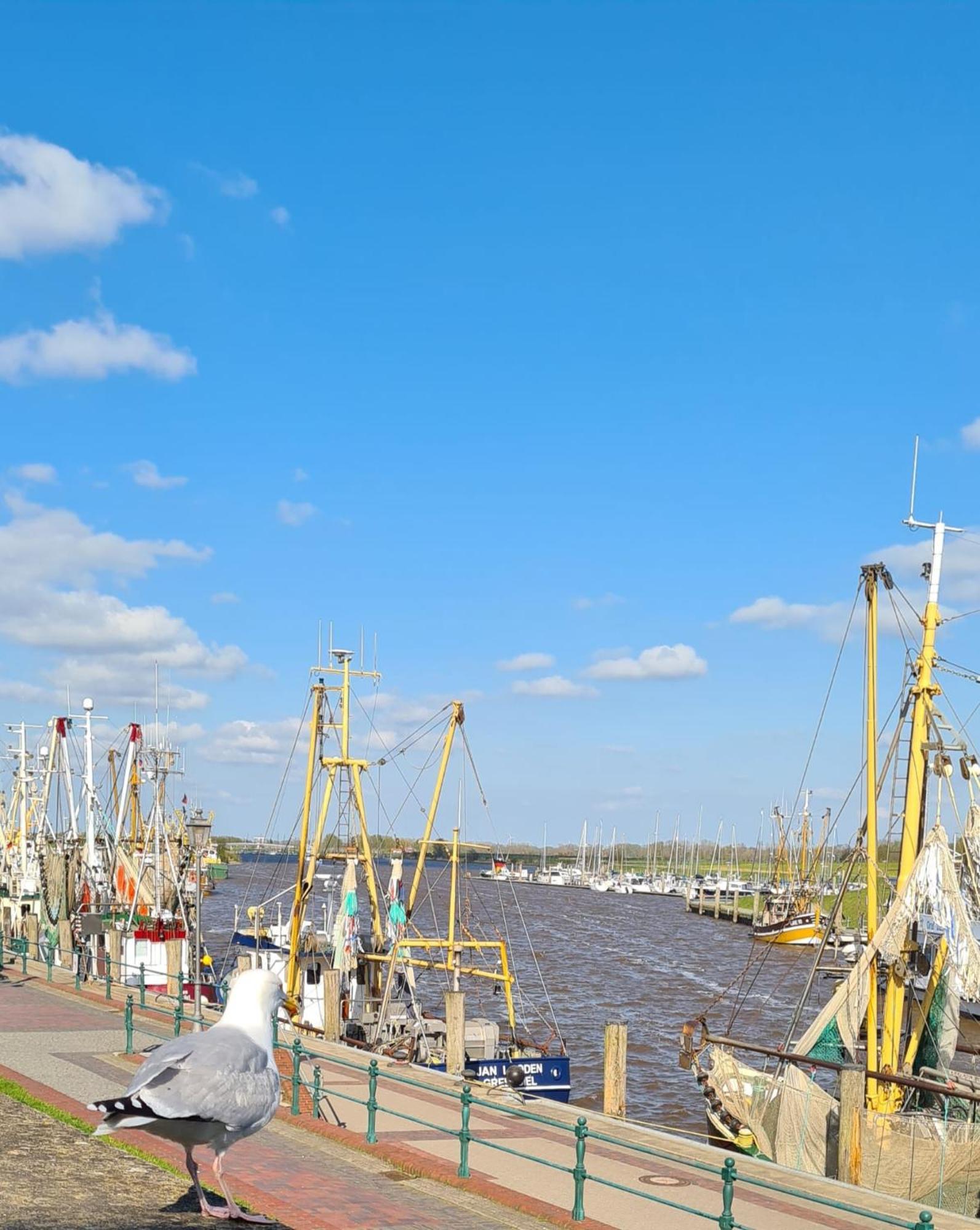 Ferienhaus Nordseeglueck Im Ferienpark Berumbur المظهر الخارجي الصورة